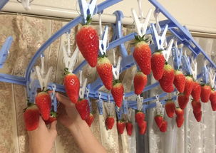 怎么给女朋友种草莓 情侣怎么种草莓的图片