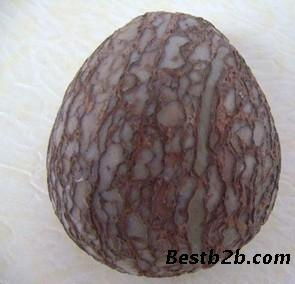 恐龙蛋的功效与作用 恐龙蛋化石的最新价格