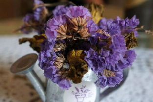怎样让干花不破坏风水 干花在风水上的禁忌