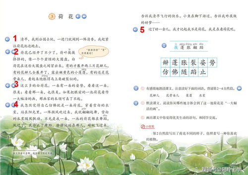 我最喜欢的植物20字 植物简介20字