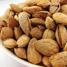 扁桃仁是什么果子的果仁 扁桃仁与巴旦木的区别