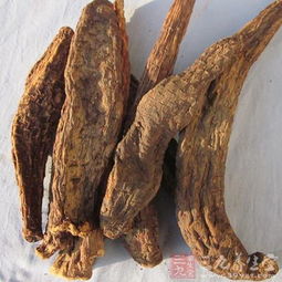 我吃了肉苁蓉吃了之后感受 肉苁蓉吃了晚上老是硬 知乎