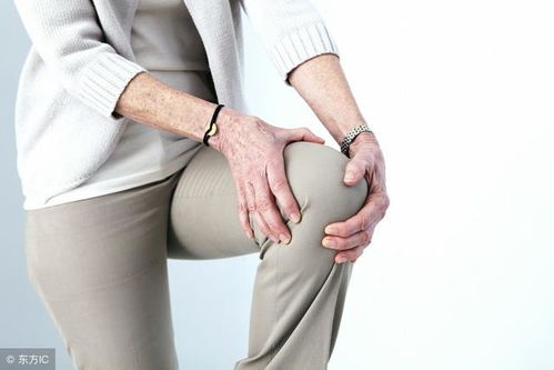 我用毛茛外敷的经验 毛茛根治类风湿验方