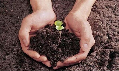 把土壤变成酸性最简单方法 如何让土壤变碱性