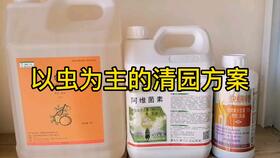 打石硫合剂的最佳时间 石硫合剂夏天可以打吗