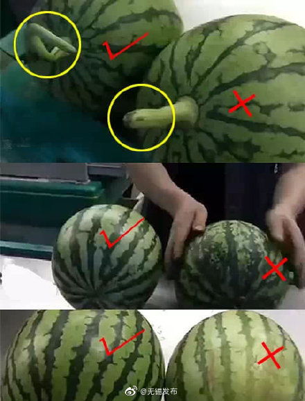 挑西瓜应该怎么挑 挑西瓜最好的三个方法