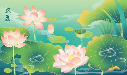 描写夏天的特点 一年级怎么描写夏天