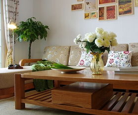 搬新家客厅放什么植物好 入住新房买什么水果好