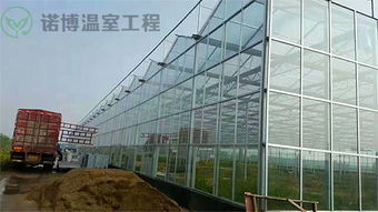 搭建大棚一亩要多少钱 温室大棚造价多少一平