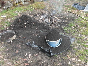 撒完草木灰后几天可以浇水 先浇水还是先撒草木灰