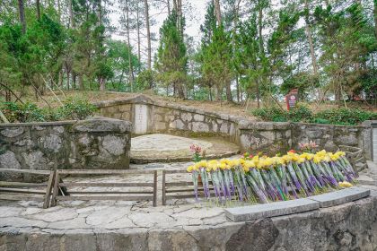 新坟不能经常去看 人死不满一年不能看墓地