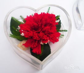 教师节送什么花寓意好 教师节送花的寓意
