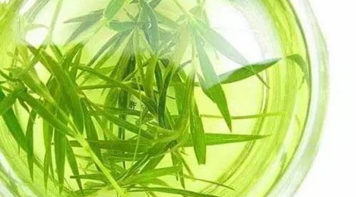 新鲜竹叶煮水喝的危害 自己摘的竹叶能喝吗