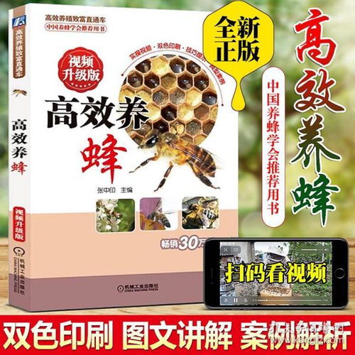 新手养蜂入门及注意事项 初学养蜂步骤及方法