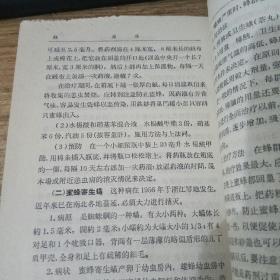 新手养蜂入门技术 养蜂知识和技术全部