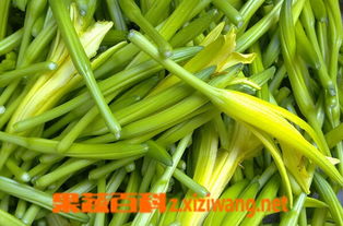 新鲜黄花菜的食用方法 新鲜黄花菜有毒吗