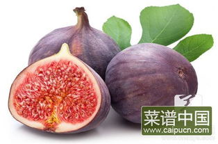 无花果白汁能除疣吗 无花果白色汁去疣用法