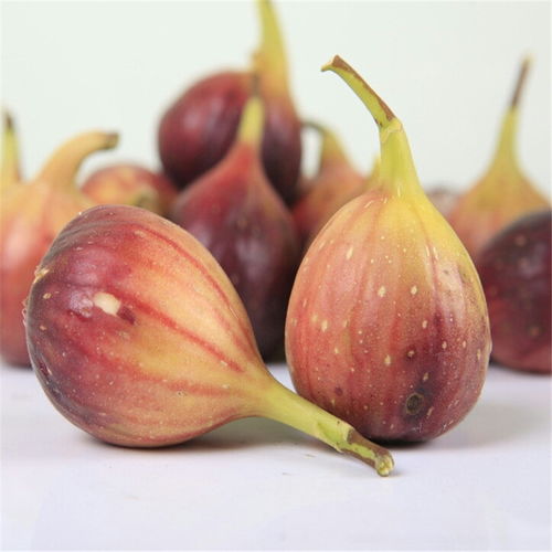 无花果晒干正确方法 无花果蒸几分钟晒干