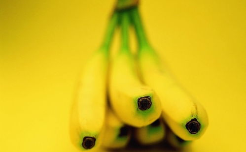 早上空腹吃香蕉的好处 一大早可以空腹吃香蕉吗