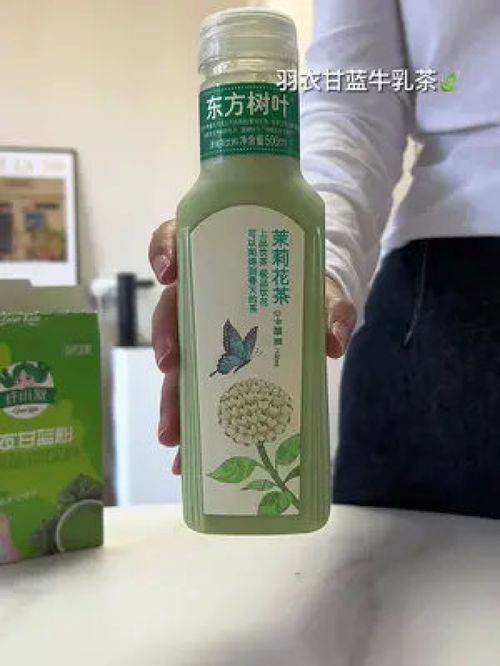 早上空腹喝羽衣甘蓝汁 喝羽衣甘蓝粉的最佳时间