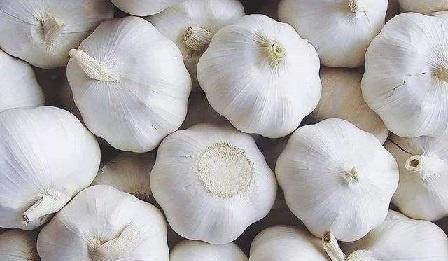 早上一杯大蒜水的好处 天天喝大蒜水好不好