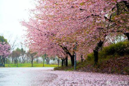 日本樱花节是几月几日 日本8月份有什么节日放假