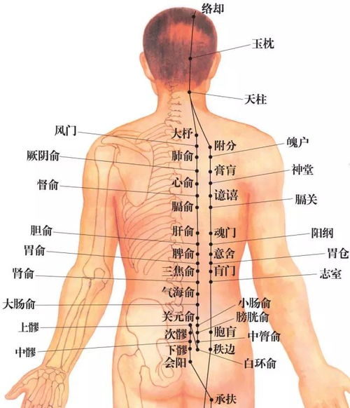 晒后背补阳气几天见效 晒后背补阳气真的有用吗