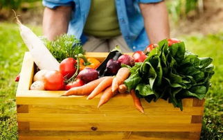 是有机好还是无机好 有机食品是智商税吗