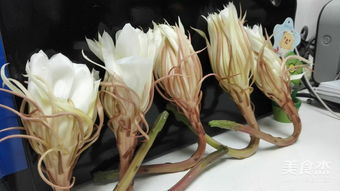昙花炒鸡蛋的正确做法 吃昙花的禁忌