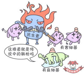 易胀气的食物列表 消除胀气的最佳食物