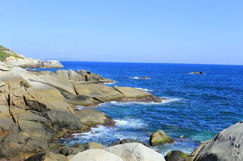 春暖花开面朝大海 面朝大海的真实意义