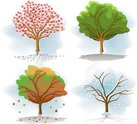 春夏秋冬代表性的花 四个季节的代表性花