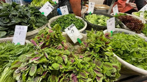 春菜什么人不能吃 春菜为什么要焯水