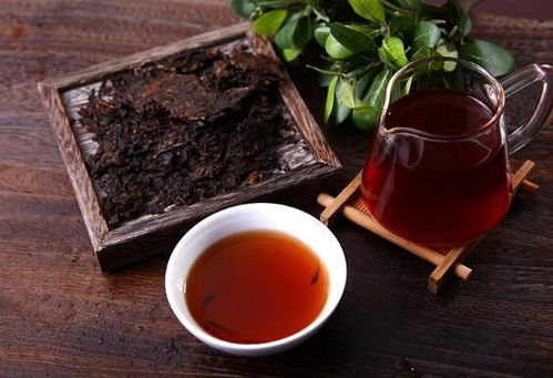 普洱茶放20年还能喝吗 低于20年的熟普不喝