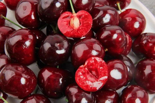 智利车厘子多少钱一斤现在市场价 智利车厘子运输成本