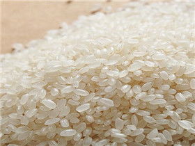 最好的钙肥是哪种 天然钙肥有哪些