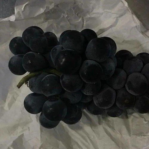 最吸引人的葡萄文案 葡萄文案适合发朋友圈