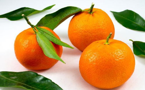 最吉利的五种水果 招财五种水果