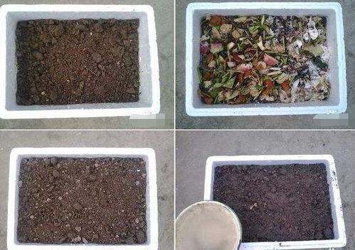 最方便的磷钾肥制作方法 家庭自制磷钾肥有哪些