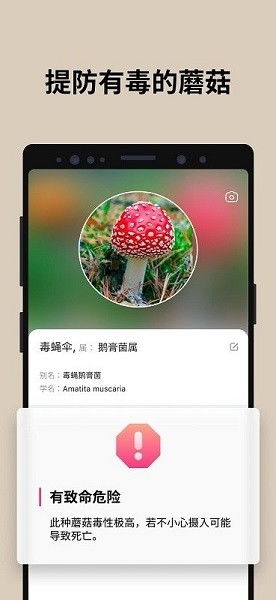 最稀有的蘑菇 蘑菇识别扫一扫