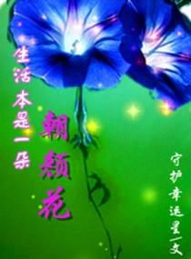 朝颜花的寓意 朝颜代表什么意思