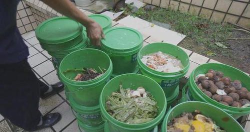 有机肥怎么制作方法 餐厨垃圾制作有机肥