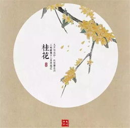 木芙蓉的诗句 韩愈的木芙蓉全诗意思