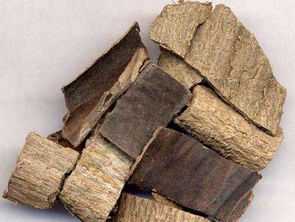 杜仲最大的副作用 杜仲泡水喝的正确方法