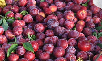 李子不能和什么一起吃 李子和什么相克容易中毒