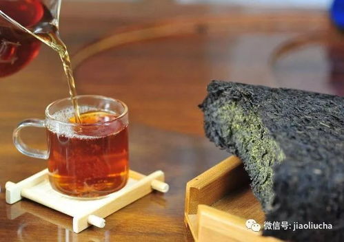 松枝茶的功效和作用 松枝煮水什么功效