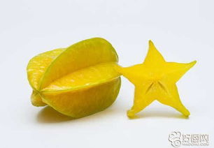 杨桃的功效和作用禁忌 杨桃有哪些功效和作用
