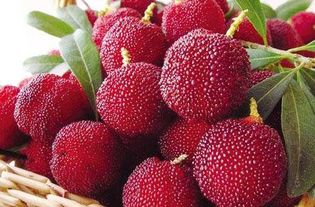 杨梅三种人不宜吃 杨梅一天最多吃几颗