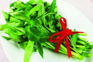 枸杞叶不焯水能吃吗 枸杞叶一定要用开水焯一下吗