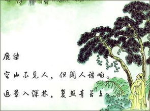 柳永《凤栖梧》原文 梧桐虽立其心已空原文